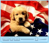 Lab Puppy sings "I'm proud to be an American" 